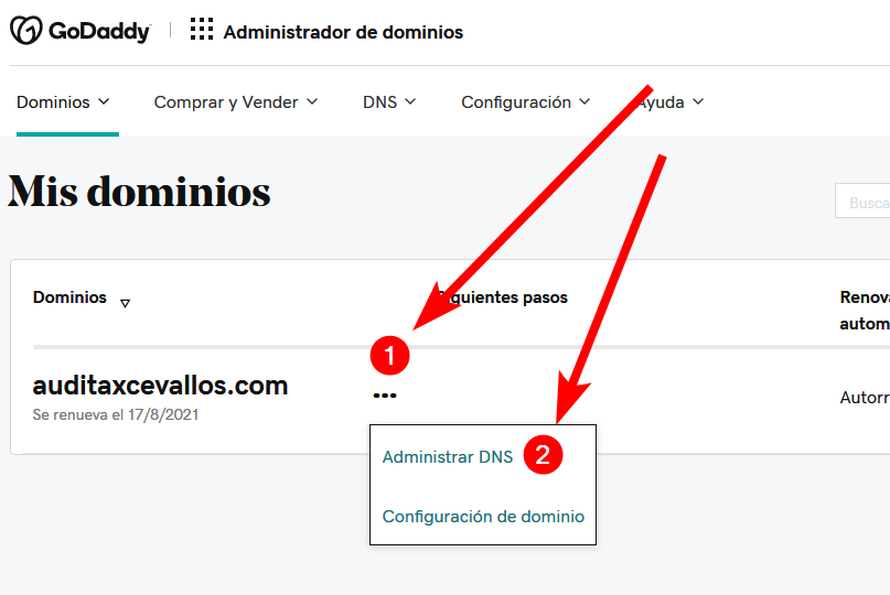 clic en los 3 puntitos administrar dns